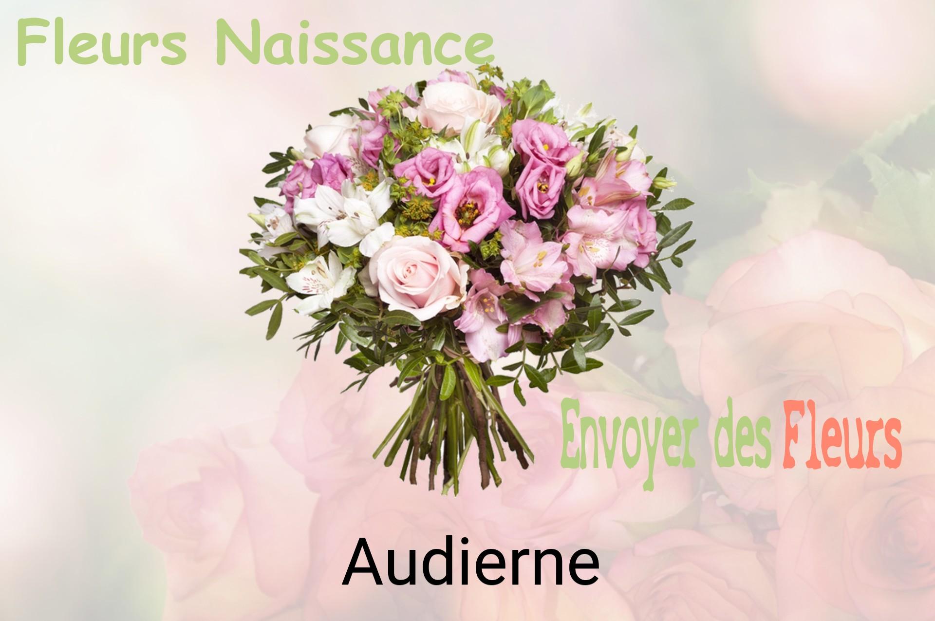 Bouquet de fleurs de naissance livré à Audierne