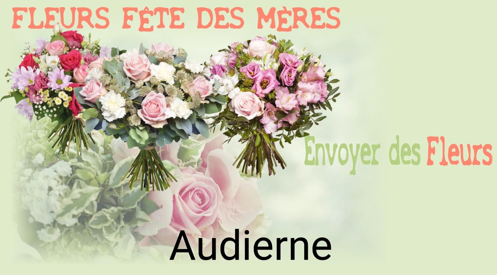 Bouquet de Fête des Mères livré à Audierne